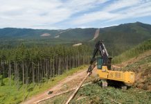 The Cat 548 forestry machine at work